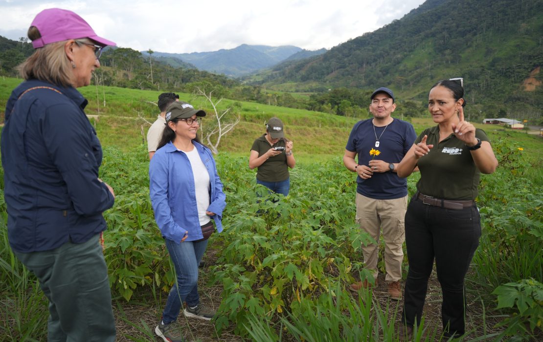 UNDP and Lavazza partnership expand in Ecuador
