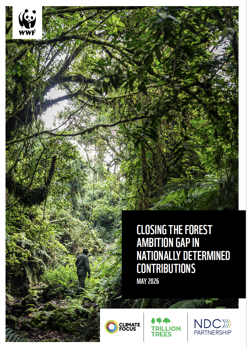 Forest NDCs WWF UNDP