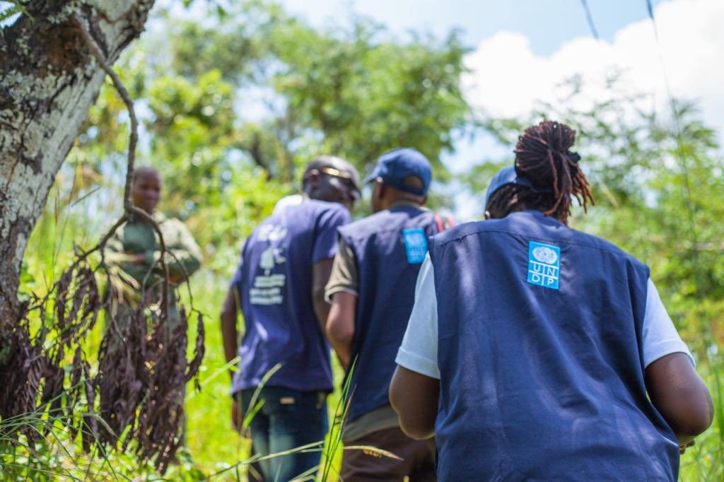UNDP zimbabwe