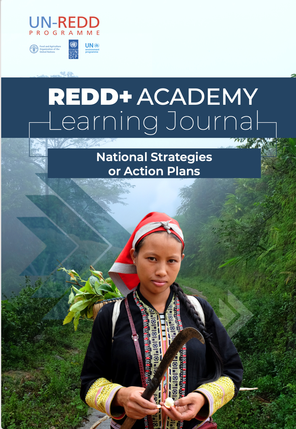 REDD+ Academy learning journal