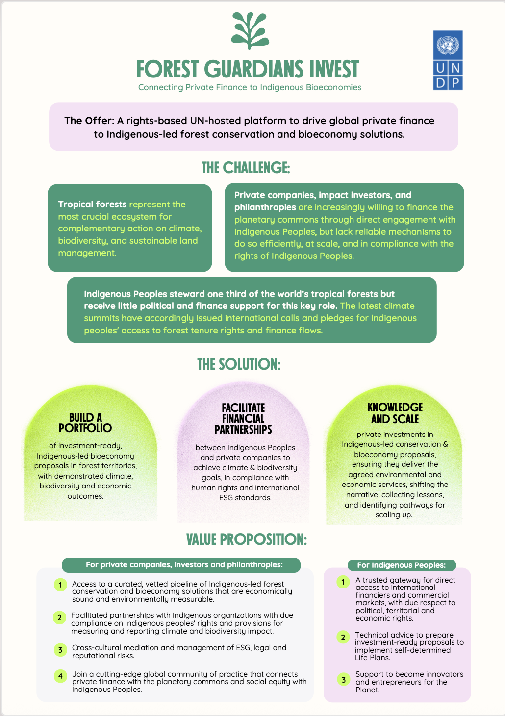 Forest Guardians Invest UNDP