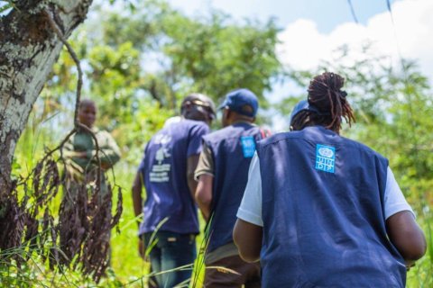 UNDP zimbabwe