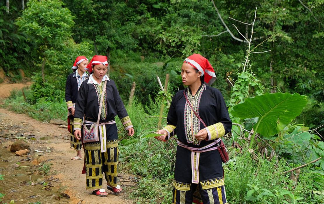 Photo:UN-REDD Programme