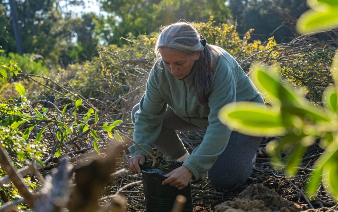 Photo of woman planting tree