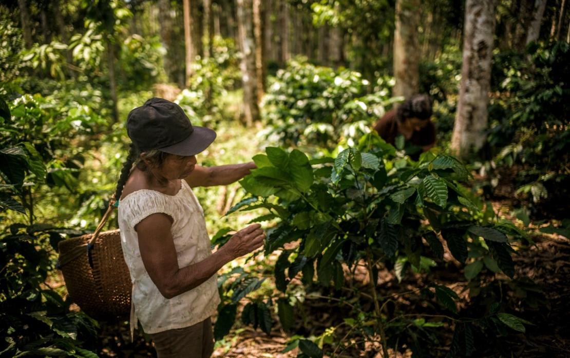 UNDP Peru