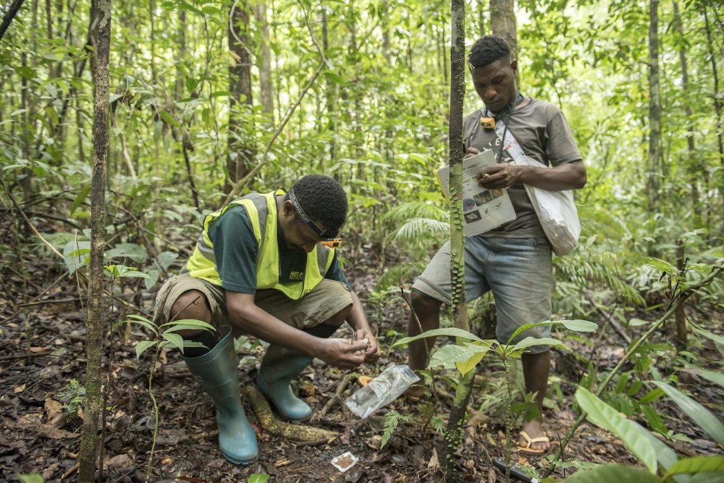 Photo by UN-REDD Programme