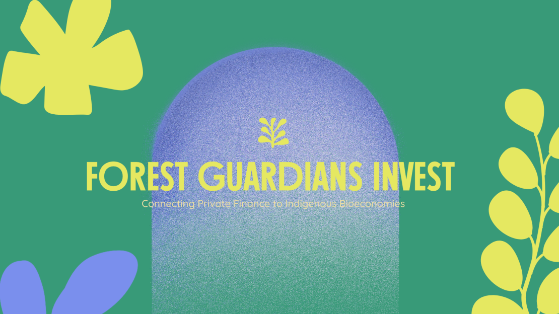 Forest Guardians invest bioeconomy UNDP